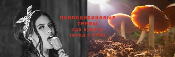 дмт Приозерск