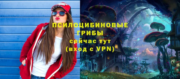 хмурый Протвино