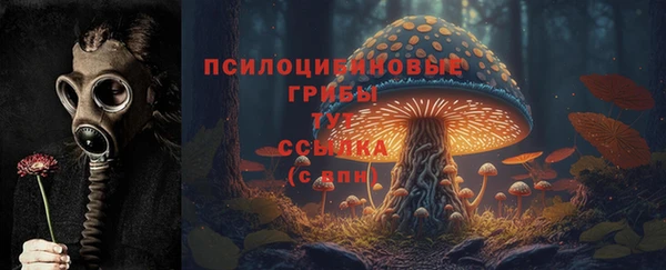мяу мяу мука Пролетарск