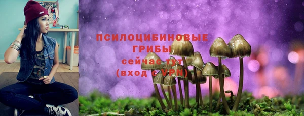альфа пвп Всеволожск